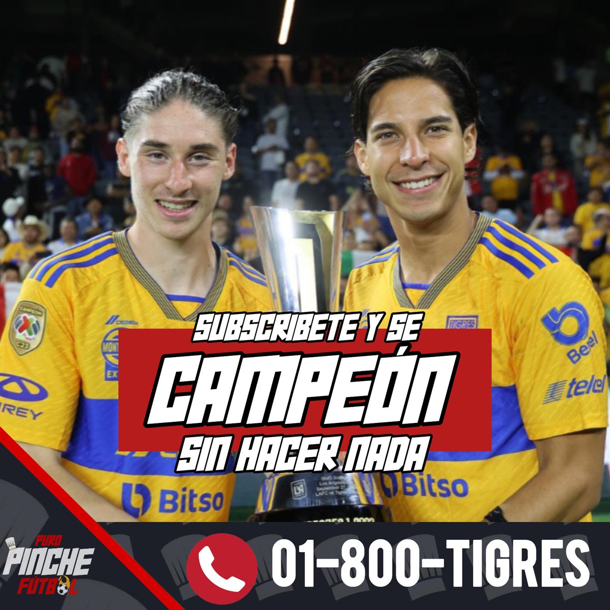 PPinche_Futbol's tweet photo. ¡Garantizado!😳✨

¿Qué esperas para unirte a Tigres?😎, Diego Lainez y Marcelo Flores ya son parte del cambio

#TigresUANL #EstadioUniversitario #EstoEsTigres #TigresOficial #SomosTigres #SoyDeTigres #VamosTigres #TigresCampeon #LasDeTigres #LibresYLokos #Regias #Monterrey https://t.co/9Uj22zAY19