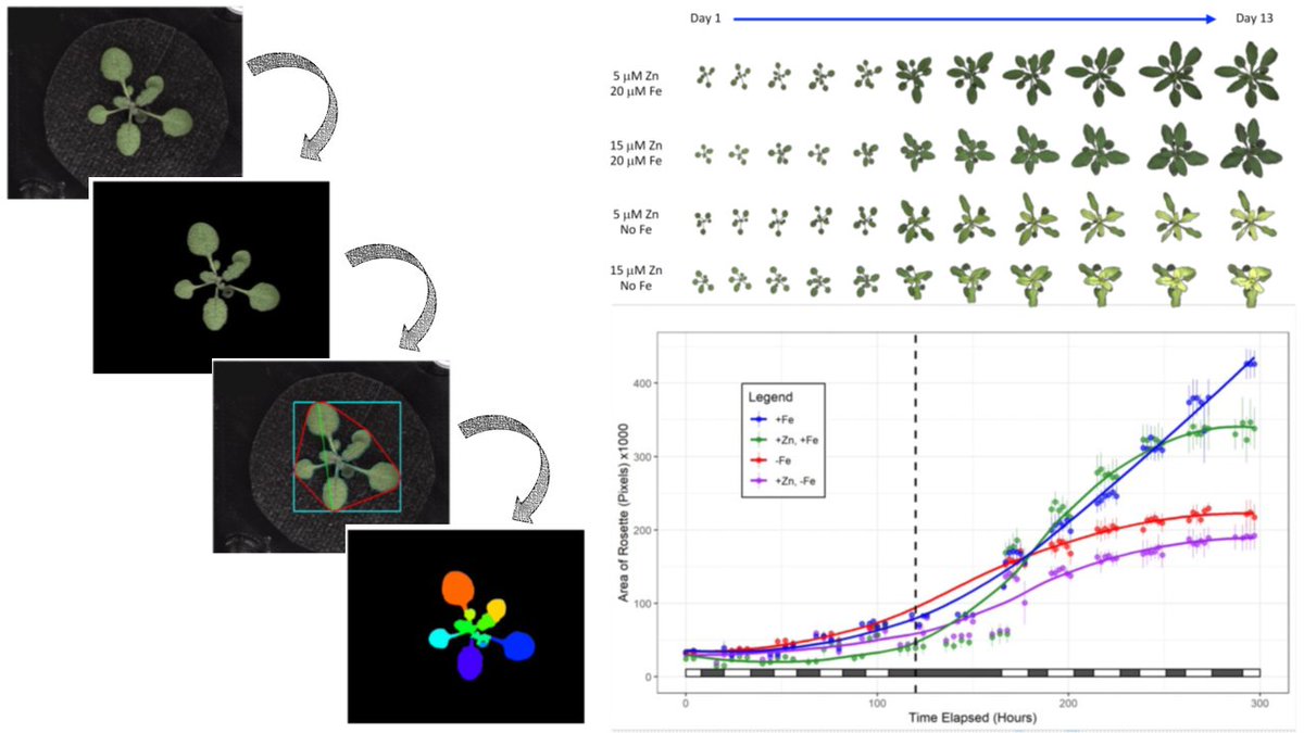 ThePlantJournal tweet picture