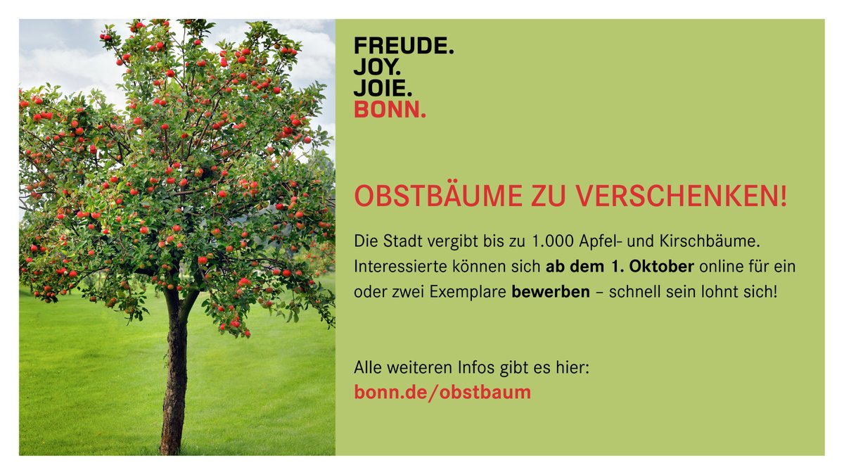 📣 Die Stadt verschenkt im Herbst bis zu 1.000 Apfel- und Kirschbäume! 
Obstbäume sind Schattenspender und Nahrungslieferanten für Mensch und Tier. Interessierte können sich ab dem 1. Oktober online für ein oder zwei Exemplare bewerben. bonn.de/pressemitteilu…