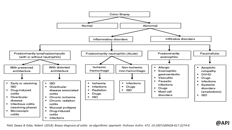 anitajawalgi's tweet photo. An algorithmic approach to non neoplastic lesions of scopic biopsies of GUT.
References provided
#KAPCON2023
#KAPCONPathX2023
#PathTwitter
#pathology https://t.co/DoxkG7hl4m