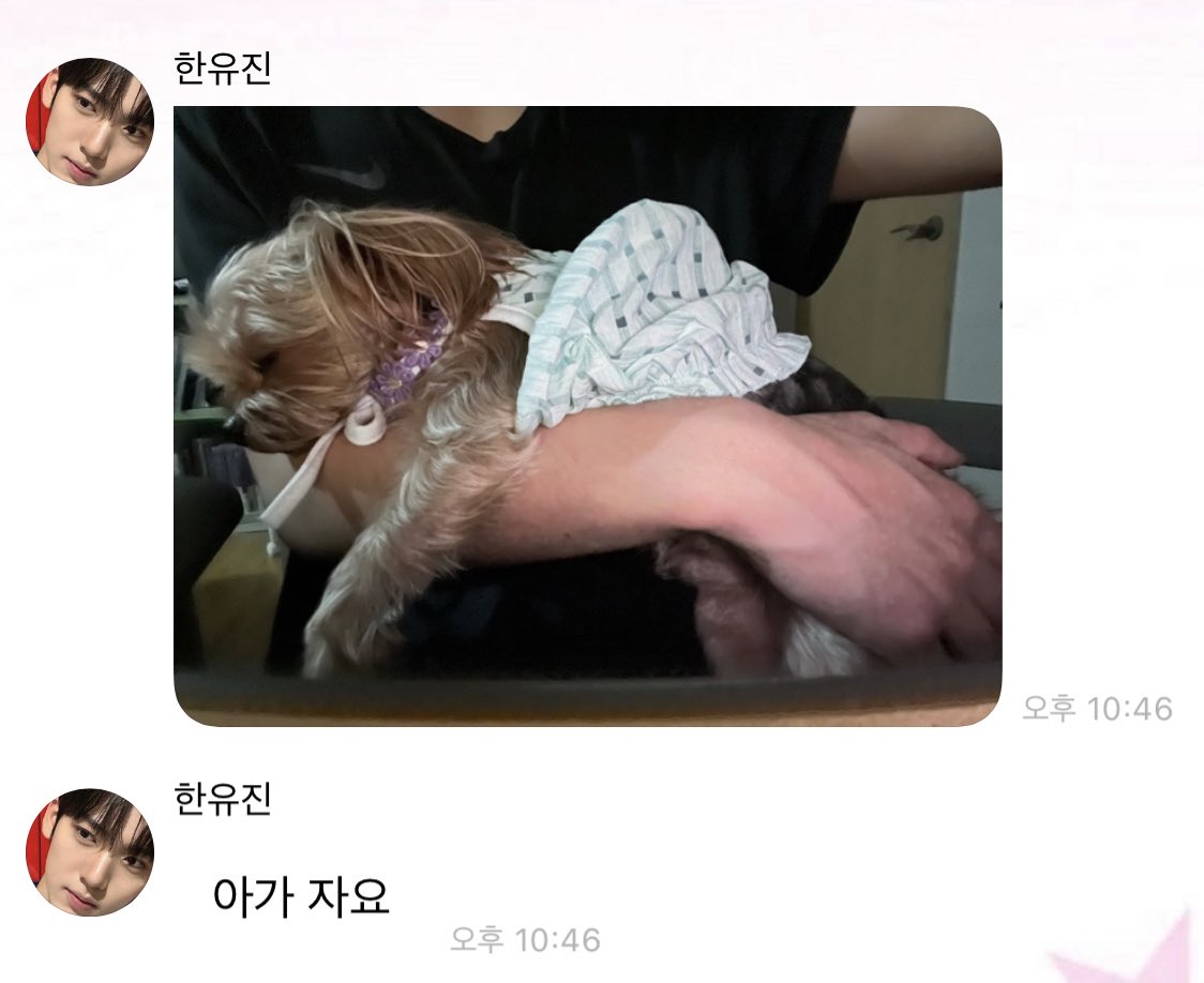Hazzzie_'s tweet photo. 유진이 본가 갔나봐😭 테리공주랑 투샷 보내줌💞 https://t.co/bC4D7vu3Br