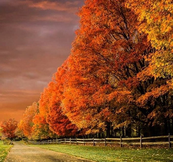 Как то быстро подползать стал  вечер, дни укорачиваются.. ДОБРОГО ВСЕМ ВЕЧЕРА!!