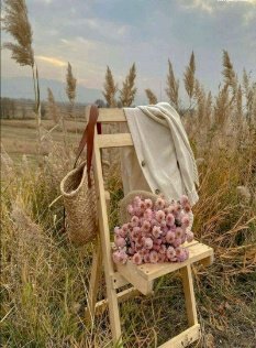 المساء لايتغير في ظهوره لكنه كل يوم يٲتي بشكل أجمل مساء مشبع بتوفيق الخالق؟؟
#مساء_الخير
#قروب_الحسناء_للدعم
#قروب_المسافر_فهد 
#ديوانيه_البحر 
#قروب_سوالف_وفله 
#سر_المشاعر_للدعم 
#نبض_القلم_للدعم