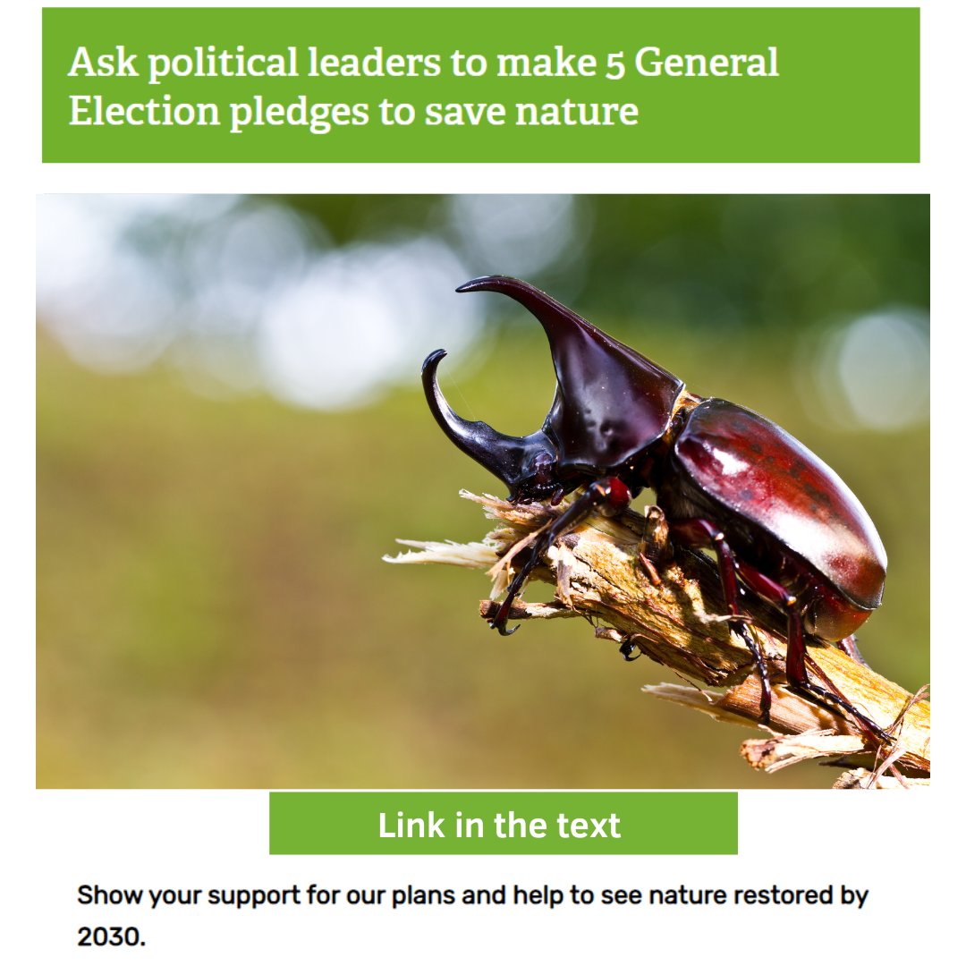 WildOxfordshire's tweet photo. Add your name to #Nature2030 and urge our political leaders take action for nature:
👩🌾Double funding for nature-friendly farming
🌊Make polluters pay
🏞️More space for nature by 2030
🌱Support green jobs
🌳A right to a healthy environment

https://t.co/GiEzIWNjtv https://t.co/hIvroJEjBG