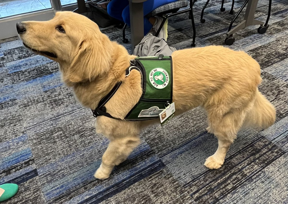 brownam130's tweet photo. We had a special visitor in our #ACPNP class today! Strider is a therapy dog on the pain service @childrensatl. He’s definitely therapeutic for us! 

#whypeds #PedsICU 

#Growingnewcolleagues #EmoryACPNP2024 @EmoryNursing @TMotleyDNP @DrTerryPedsNP https://t.co/KjK4u7N8X8