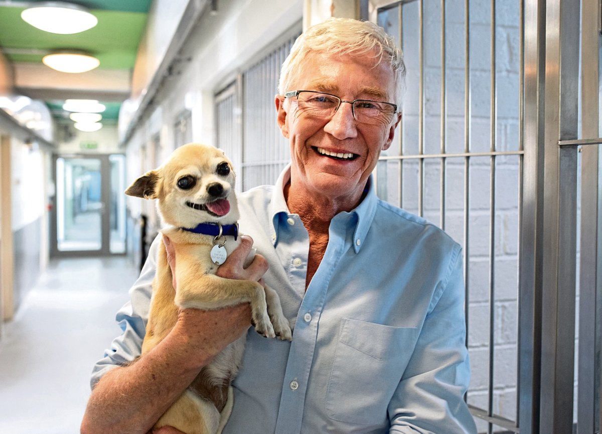 Tonight

The last ever episode of Paul O'Grady: For The Love Of Dogs

8.30pm, ITV1

@RealPOGDogs 

#POGDogs
#PaulOGrady