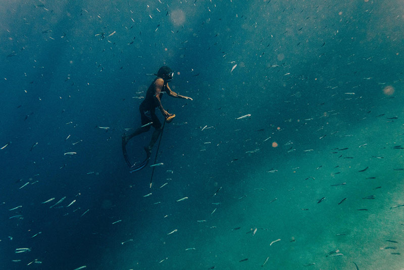 🎞️ No et perdis la projecció, en el marc del @PosidoniaGreen, del curtmetratge de @RUIDOPhoto #PRIMARYOcean, sobre com 3 comunitats d'arreu del món estan enfrontant les conseqüències de la crisi climàtica a l'oceà. 📍7/10, 19h, @MuseuMaritim de BCN 🔗posidoniagreenfestival.com/index.php/prog…