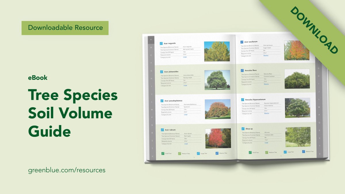 GreenBlueUrban's tweet image. Our NEW and upgraded Soil Volume Guide for Tree Species - Version 2.0, is now available for download!

This second version of the highly popular Soil Volume Guide for Tree Species became desirable for a num... bit.ly/3LAY66r

#TreeCare #SoilVolumeGuide #UrbanTreePlanting