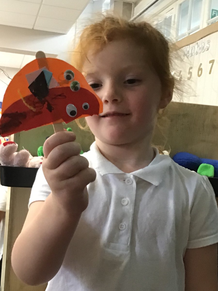 Tang Hall Wrens tweet media