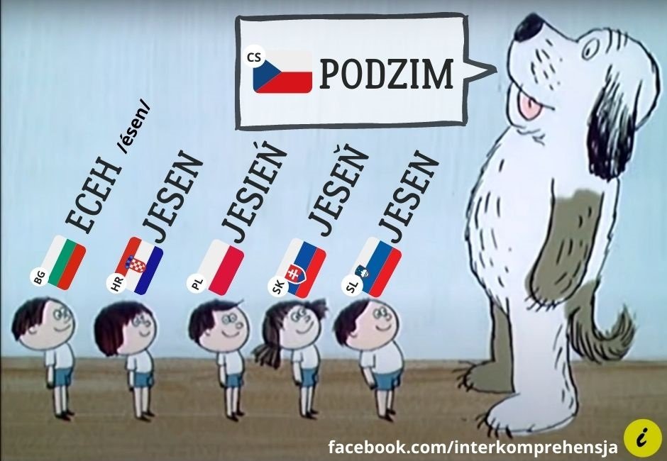 Lucia Bodorova tweet media