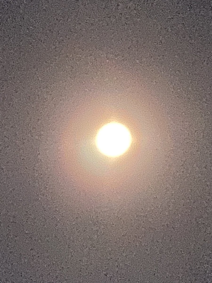 SunshineQupi's tweet image. 満月🌕1日前の月。
パワーありそう！
#月を見ていた 
#Moongazing 
#Moonpower