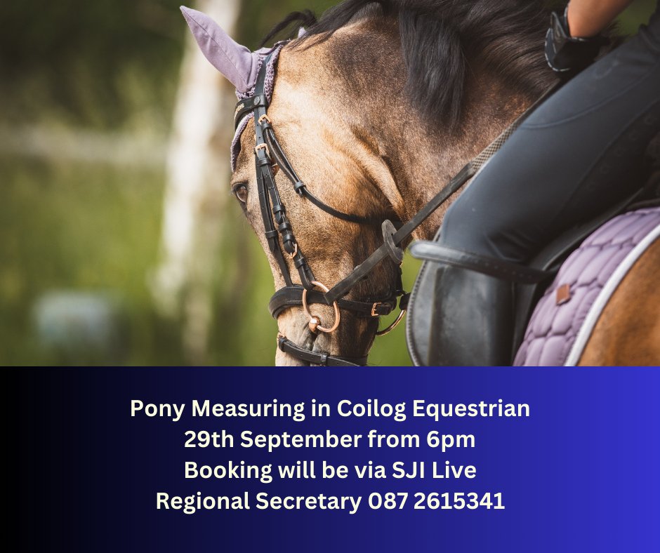 Last pony measuring in Leinster for 2023