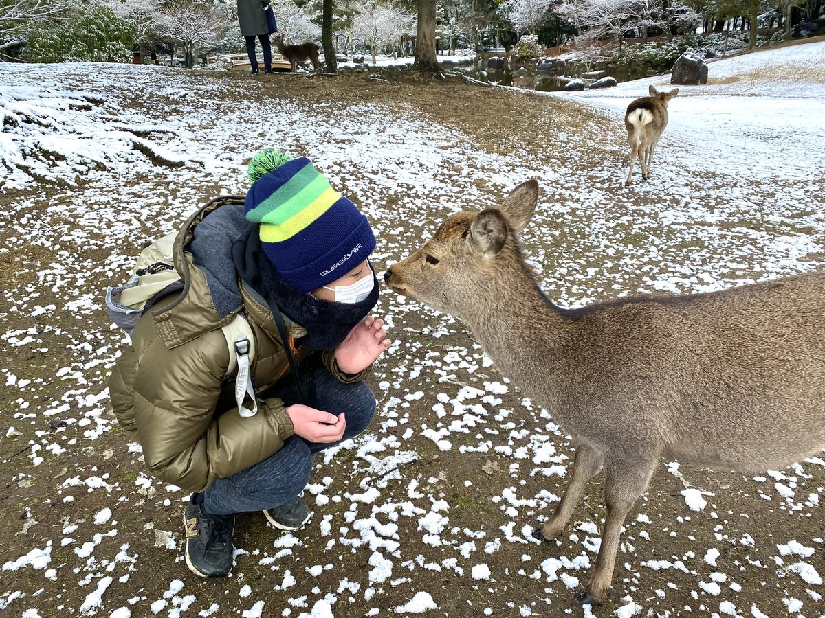 鹿男あをによし