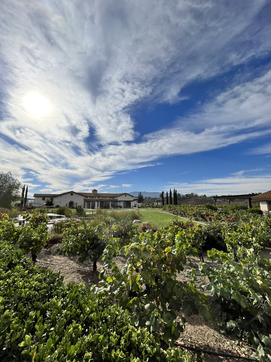 Good morning! It’s another perfect day in #temeculawinecountry 

#avensolewinery #visittemecula #liveglassfull
