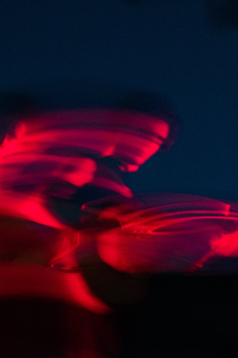 tamino as an element at his concert in cairo on september 23, 2023, through omar barakat’s lens