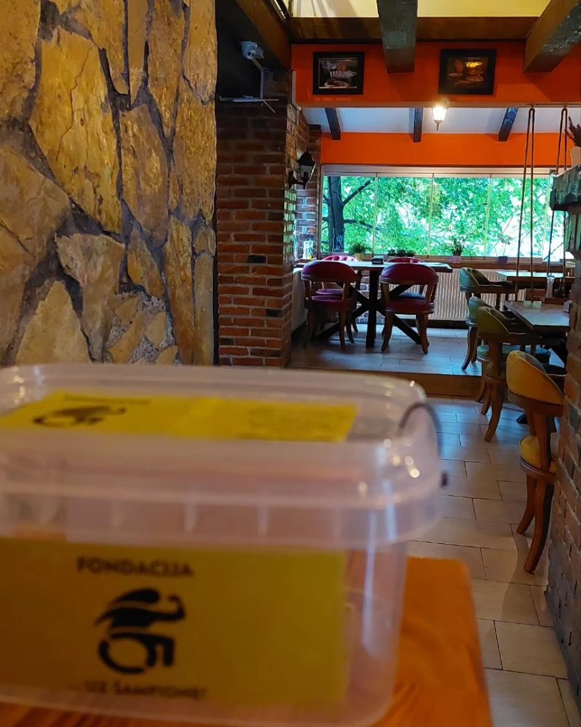 Plan B je uz šampione! 💪

Nova lokacija na kojoj možete putem kutija za donacije podržati rad i ciljeve naše fondacije. 

Svaki dan smo korak bliže savremenom trening centru za sportiste sa invaliditetom, savremenom i značajnom objektu za naše društvo.

 BUDI UZ ŠAMPIONE! 💪