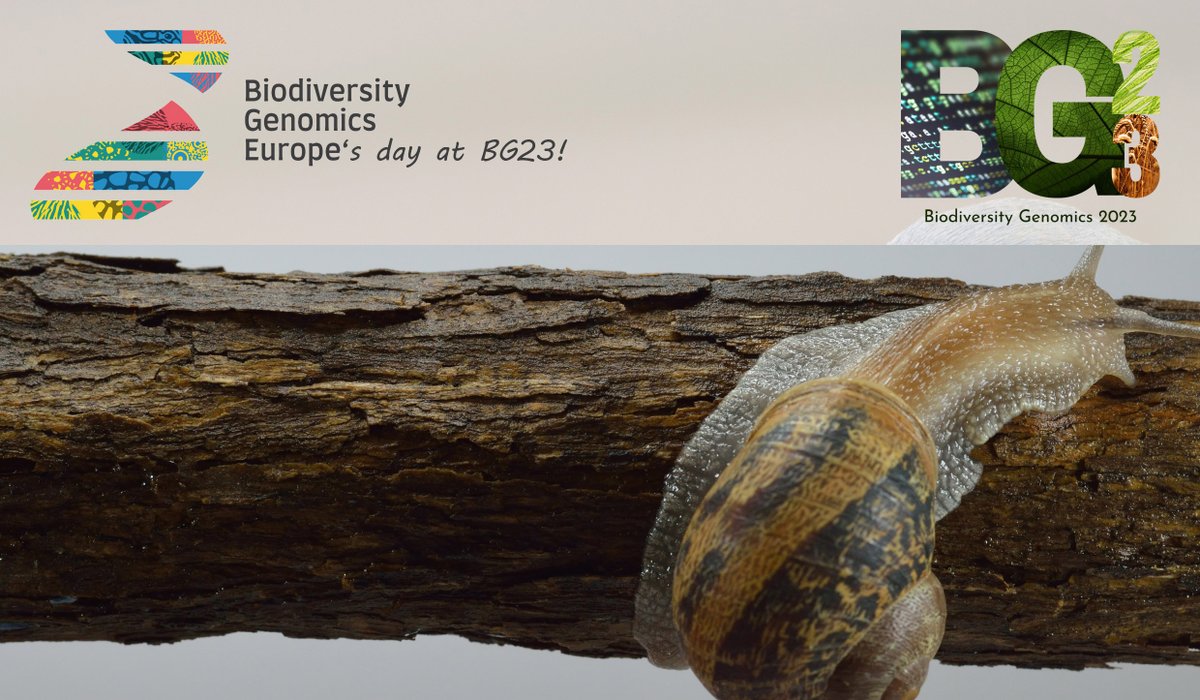 Still time to register for @BioGenEurope day at #BG23 next Monday October 2nd. Take a look at the programme for the day: drive.google.com/file/d/1UhLY0I…… And register here: 👉 events.venue-av.com/e/BG23_registr… @BIOSCANEurope @erga_biodiv @EBPgenome @iBOLConsortium @BiodivGenomics @REA_research