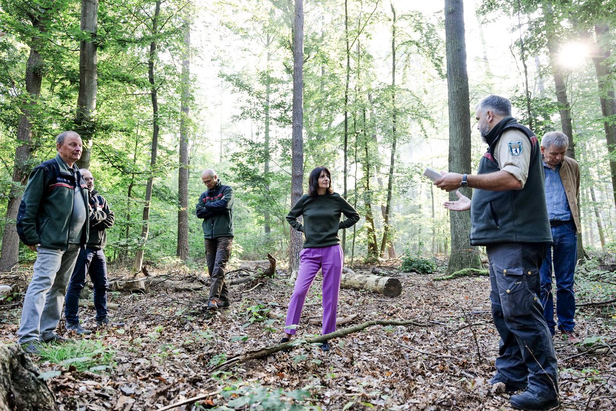 Berlins Umwelt-Staatssekretärin, #BrittaBehrendt zu Gast bei einer Waldführung der #BerlinerForsten. Es ging um die naturnahe &amp; ökologische Pflege, Sicherung &amp; Entwicklung des Berliner Erholungswaldes.