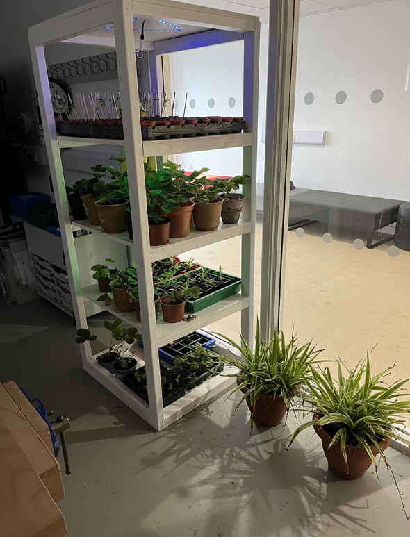CedarbankSchool's tweet photo. Rural Skills pupils constructed an indoor plant growing plant form to allow us to experiment with the colour spectrum of light and find out the best light frequencies for plants to grow. #learningforsustainability @RHSSchools https://t.co/daNbg5C2x3