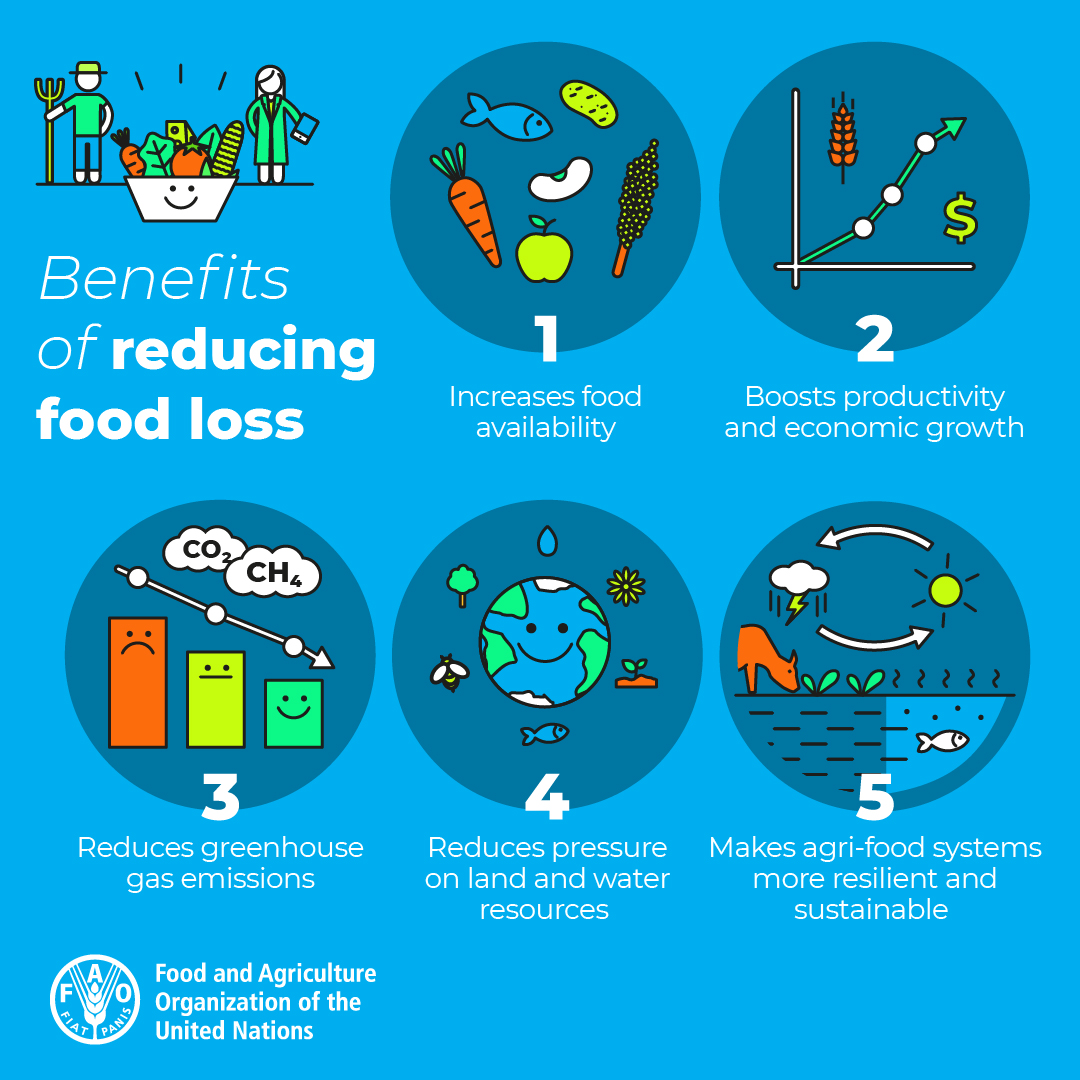 Building a better future for all involves addressing many different but interconnected challenges, including #FoodLoss.

Here are 5 benefits of reducing food loss 👇

#FLWDay