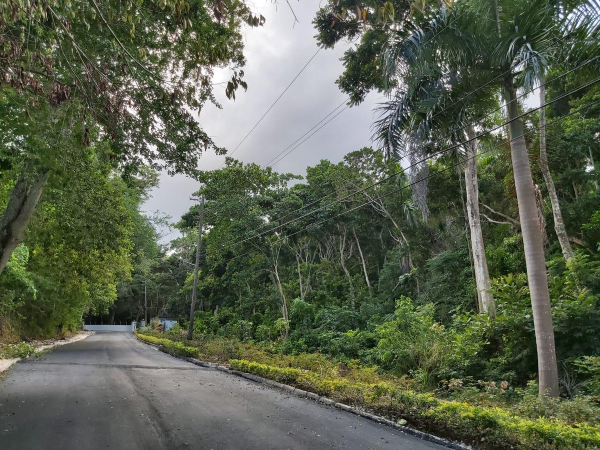 Check out this amazing 0.40 Acre lot in #Roystonea Luxury residential resort community #TowerIsle #StMary🇯🇲

USD $150,000

Lets talk 🇯🇲🏡
MLS66212 #Roystonea
Powered by @kellerwilliamsj