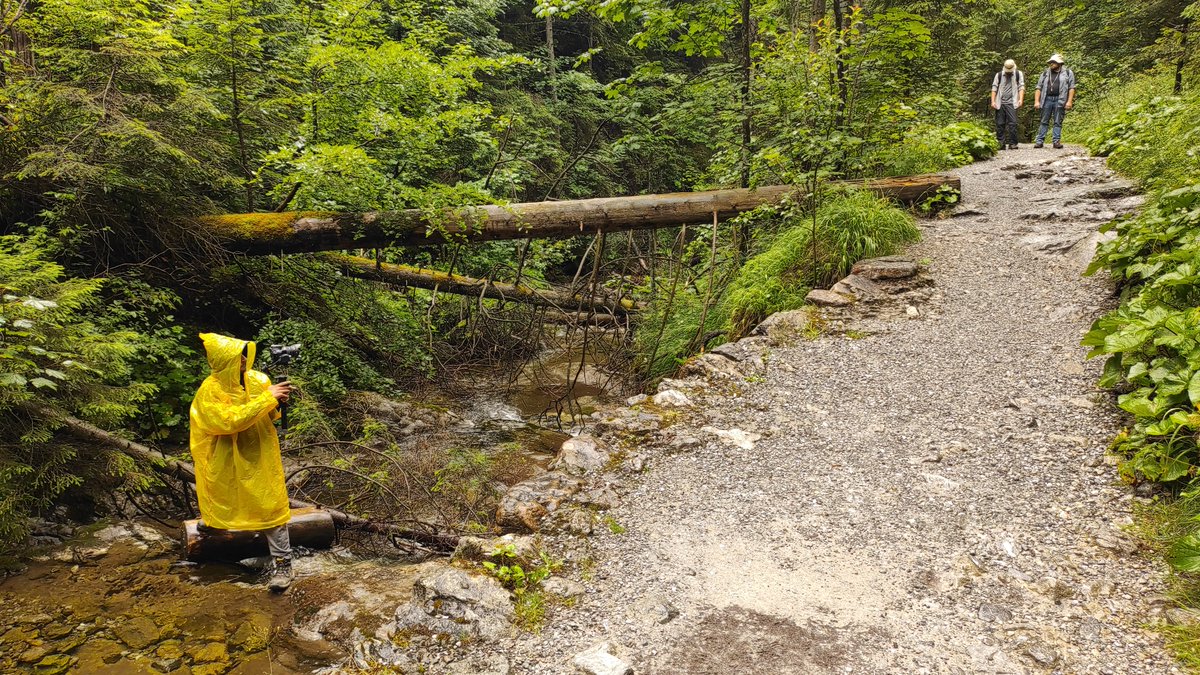 🚀 Już jutro startuje Małopolska Noc Naukowców❗️
💧 Woda, powietrze i ogień. To motywy, które będziemy eksplorować w Muzeum Lotnictwa Polskiego.
🎬 Zapraszamy też online: youtube.com/watch?v=VIYlUL…
Szczegóły: cogiteon.pl/cogiteon/aktua…