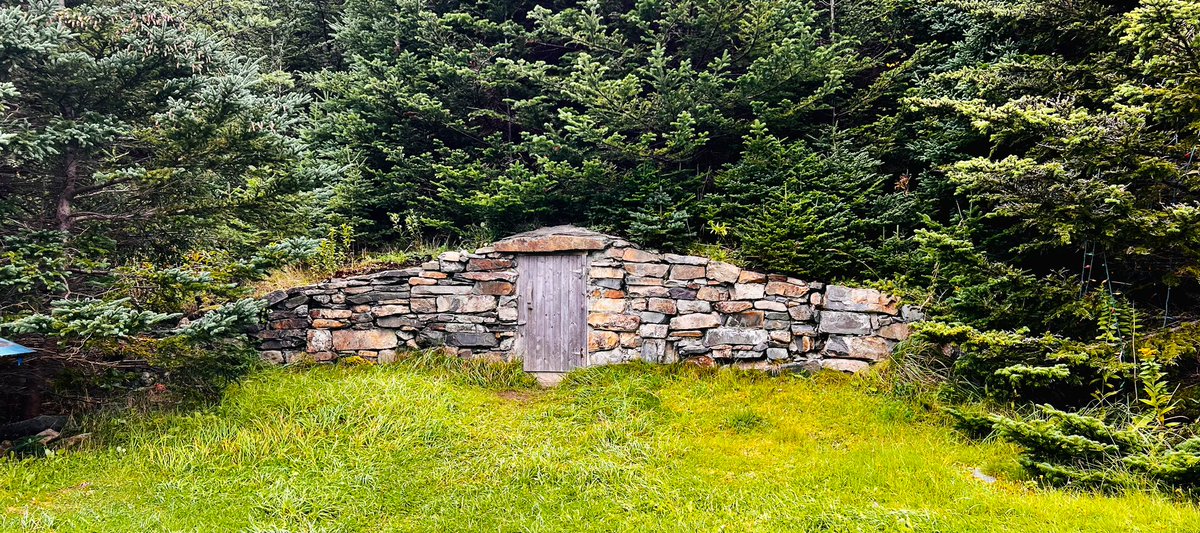 tonyrkeats's tweet photo. Where do you keep your vegetables for the winter. #rootcellars
@TownofElliston NL is the root cellar capital of the world.
@KelseyMcEwen @YourMorning https://t.co/jCcjwUAuLB