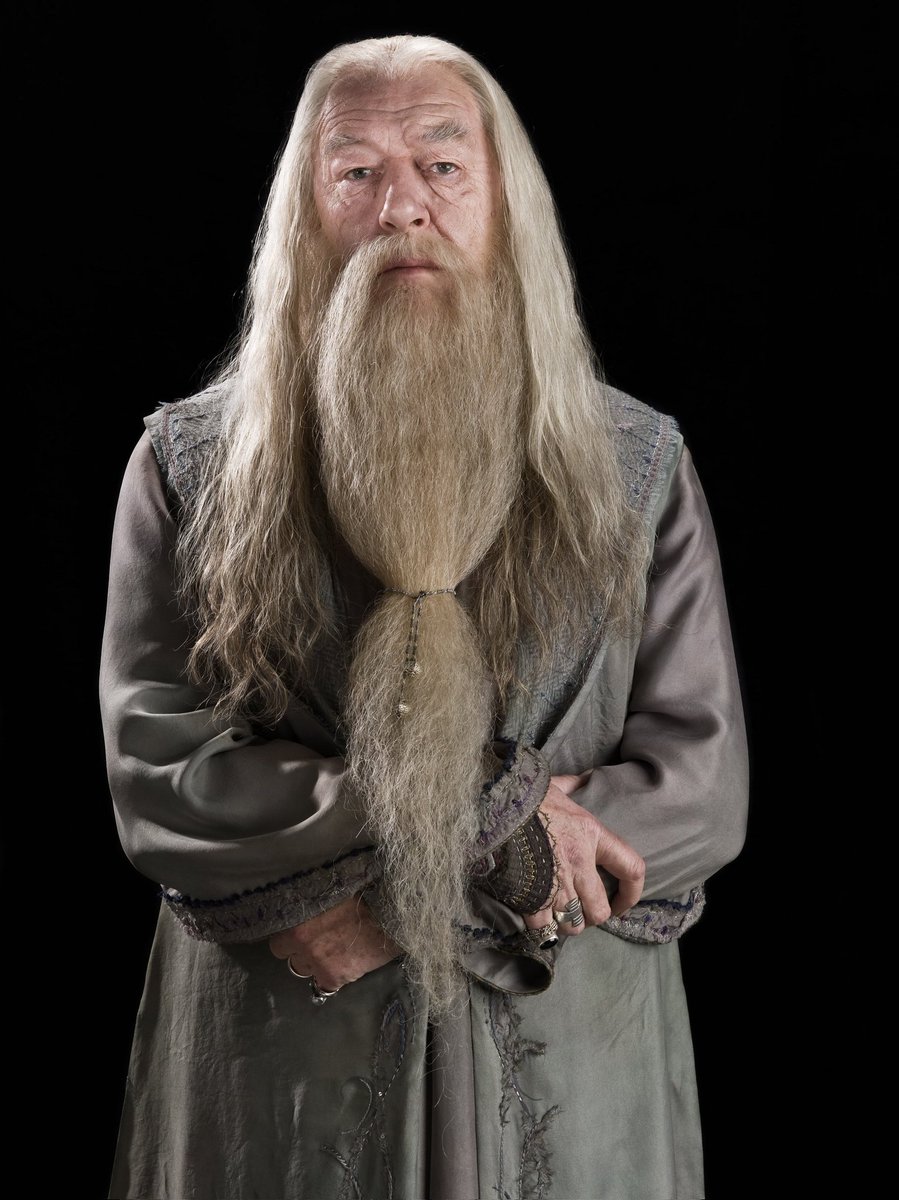 Aakansha987's tweet photo. In loving memory of Professor Dumbledore - a true beacon of wisdom and strength in the wizarding world. Your legacy lives on, and I'll always miss you. 🕯️ #RememberingDumbledore #HarryPotter #wizardingworld https://t.co/zpl0Bk0JRD