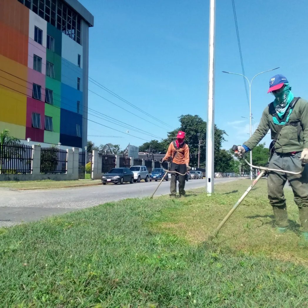 Instit12Febrero's tweet photo. #28Sep #AlMomento Inició de mantenimiento de isla central y caminerias en la Av. Bicentenaria.
#RibasVuelveAsonreir 
#GobernamosParaServir https://t.co/QS621fzfb7