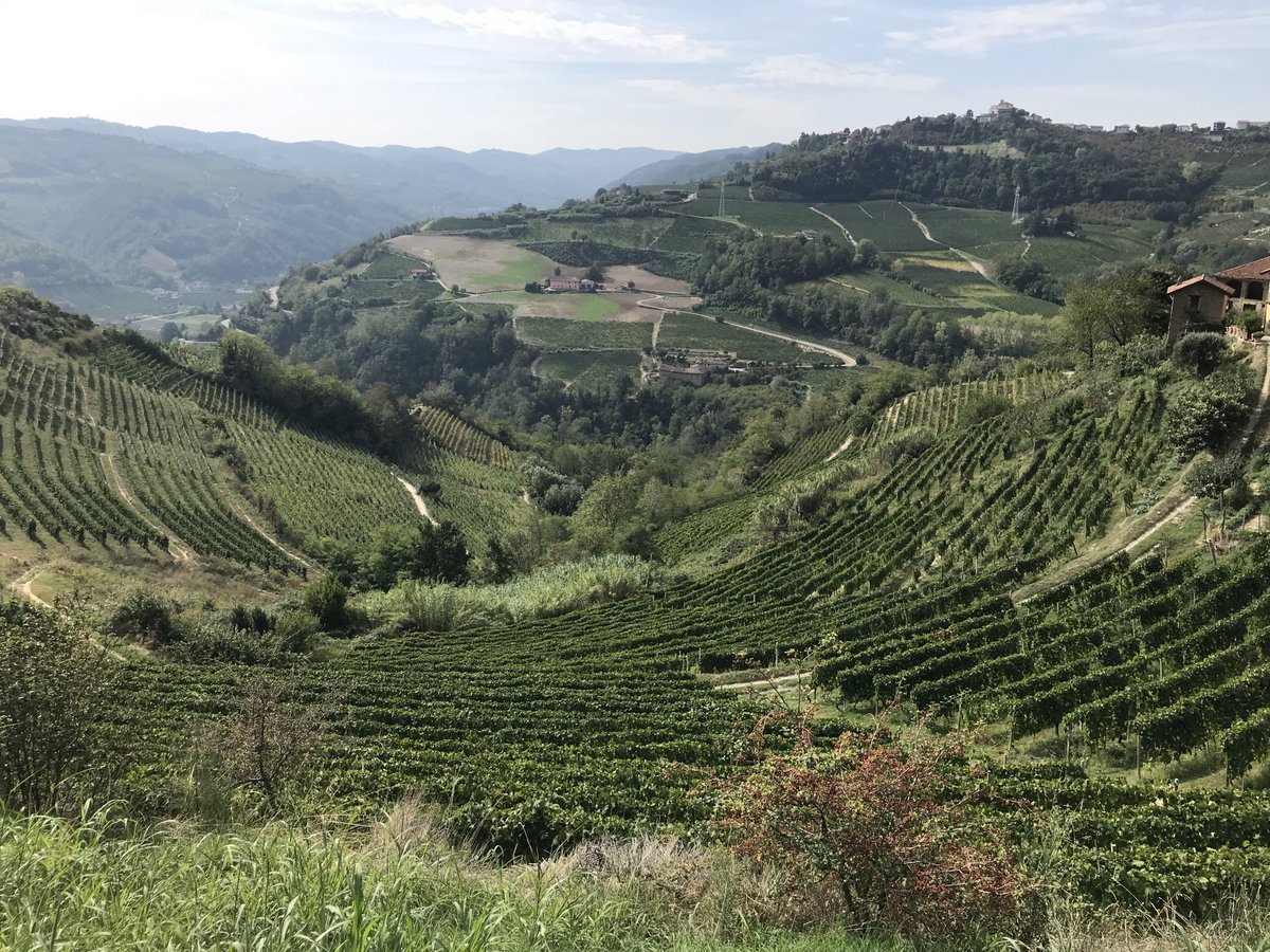 Peter Bamford tweet media