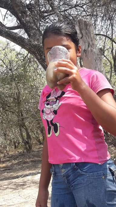 delpynews's tweet photo. ▶️ INDIGNANTE |​​​​​​​​ 🤬

😤​Indígenas del Chaco se ven obligados a tomar agua del tajamar.

📌​Ante la falta de agua y asistencia, se las arreglan "filtrando" el líquido con una tela.

📍Ocurre en Yischinachat y José Selvich, pueblo Nivacle, Linea 32, Boquerón.

Vía: @mcs_py https://t.co/g8bkRwQyld