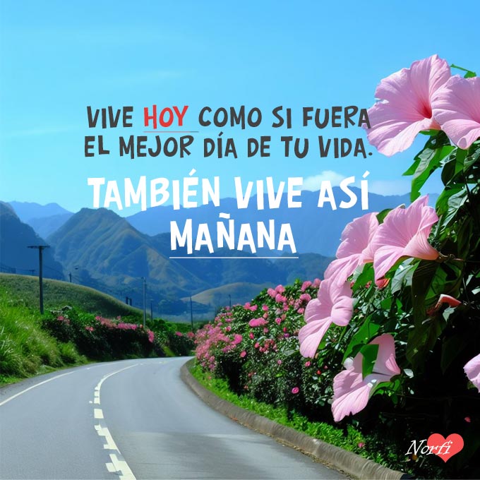 Vive hoy como si fuera el mejor día de tu vida. También vive así mañana.
norfipc.com/facebook/frase…
#frasesdemotivación
#frasesparamotivar
#motivaciones