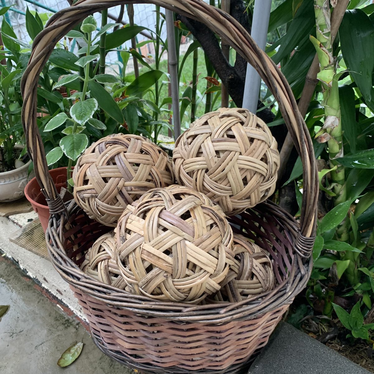 KrayonAsia's tweet photo. Wicker rattan balls are superb accessories for photo shoot ideas and home decor. Natural, rustic and handmade. #wickerball #rattanball #handmaderattan #accessoriesforhomedecor #homedécoraccessories #photoshootideas #takrawball #rusticdecor #handmadecraft https://t.co/RA0B8VZh4k
