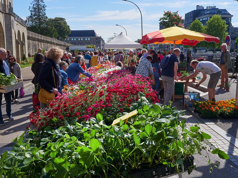 Ville de Quimper tweet media