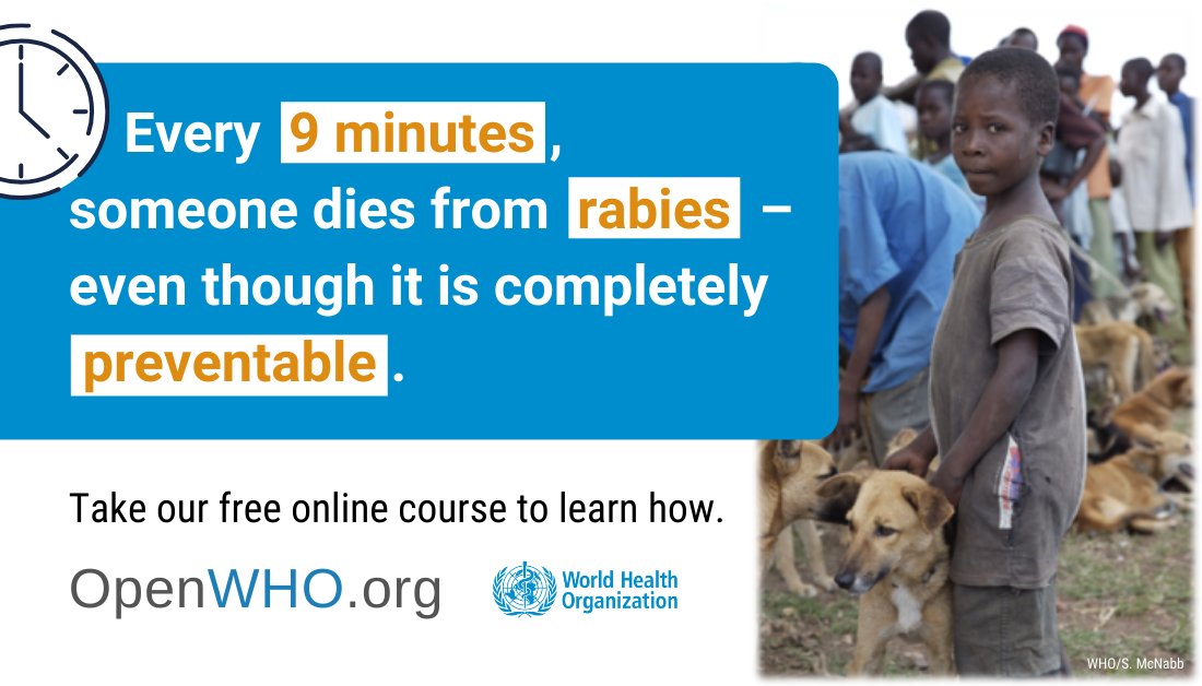 World Health Organization (WHO) tweet media