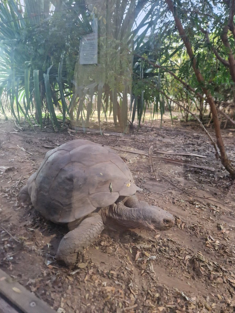 #throwback to last week when our yearly @Amulet_Security awards at <a href="/zsllondonzoo/">London Zoo</a> took place, recognising our frontline staff for all that they do keeping us safe every day. 

#awards #recognition #zsl