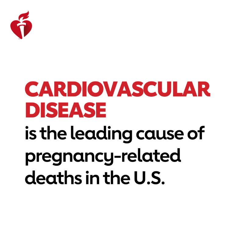 American_Heart's tweet photo. Increase your knowledge of maternal cardiovascular risks before, during and after pregnancy with this free accredited learning module. Register for the accredited course at https://t.co/rukJQR6R8I