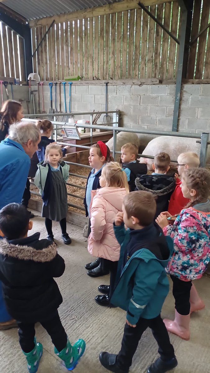 childrensuni's tweet photo. Year 1 from @wearenewington were also lucky enough to meet some of the residents of @DensholmeFarmEd including Hairy Mary the goat and the newest additions: some cute, fluffy chicks! #Densholmefarmexperience #learningcomestolife https://t.co/JEaachhRMc