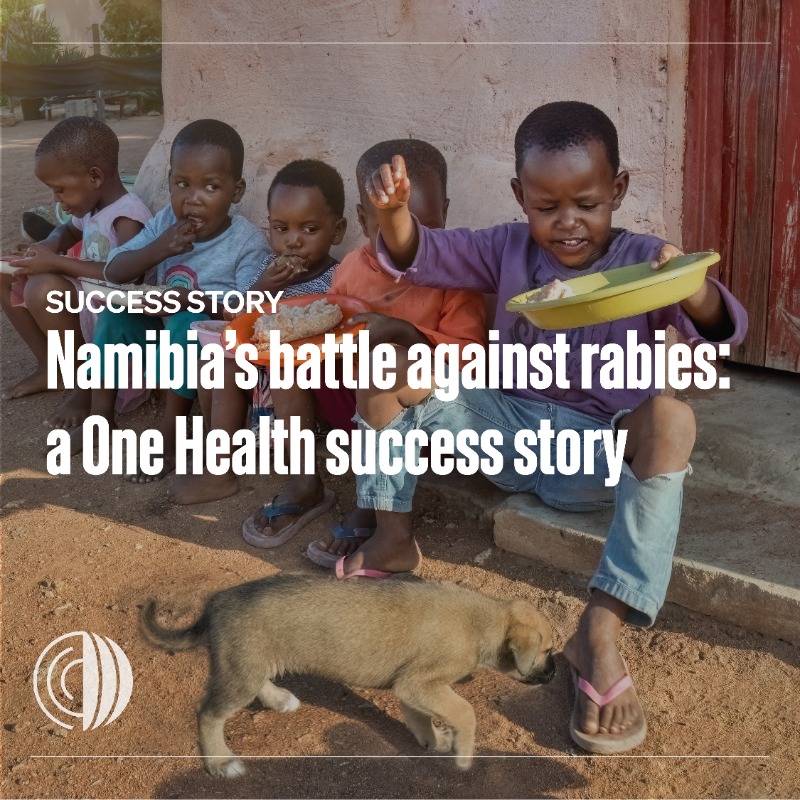 WOAH's tweet photo. This #WorldRabiesDay, we're shining the spotlight on Namibia 🇳🇦. In Namibia’s NCA, veterinarians and their teams are using innovative methods and relentless dedication to significantly reduce human rabies cases, marking a remarkable achievement in the ongoing fight rabies.