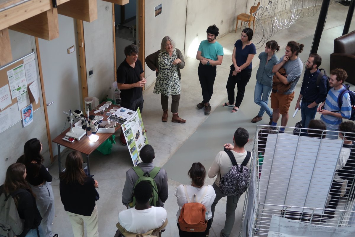 INRAE Grand Est - Nancy (@inrae_nancy) on Twitter photo 📷 Retour sur la #SemaineRechercheUL au Centre <a href="/INRAE_Nancy/">INRAE Grand Est - Nancy</a>
Au programme : activités ludiques et ateliers pour les étudiants du site lorrain afin de découvrir la recherche autour des sciences forestières et des sciences participatives
#SemaineRechercheUL #Orion #Osezlarecherche 📷 Retour sur la #SemaineRechercheUL au Centre <a href="/INRAE_Nancy/">INRAE Grand Est - Nancy</a>
Au programme : activités ludiques et ateliers pour les étudiants du site lorrain afin de découvrir la recherche autour des sciences forestières et des sciences participatives
#SemaineRechercheUL #Orion #Osezlarecherche