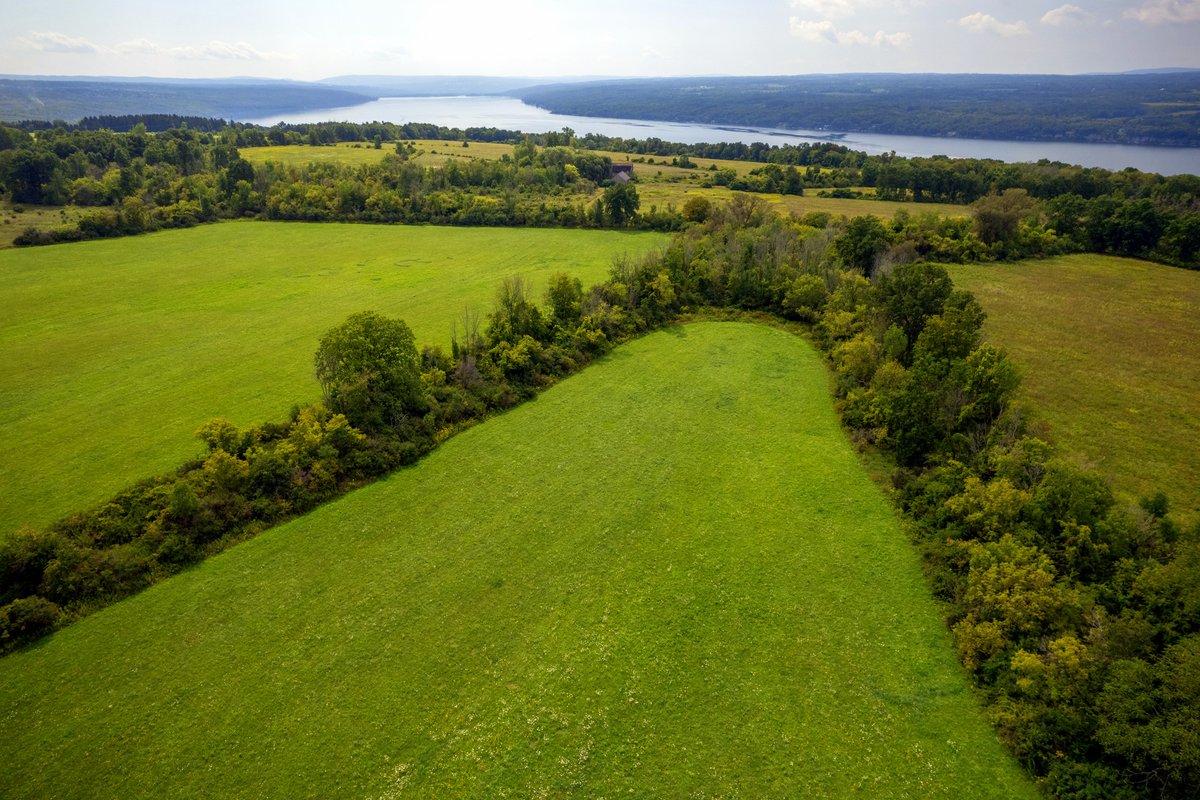 The Finger Lakes Land Trust (FLLT) has purchased 24 acres as an addition to its new Sims-Jennings Preserve at Cayuga Cliffs in the town of Lansing, Tompkins County. Photo by Chris Ray.
lifeinthefingerlakes.com/new-nature-pre…
 
#liflmag
#fingerlakesmag
#fingerlakes
#flx
#fingerlakeslandtrust