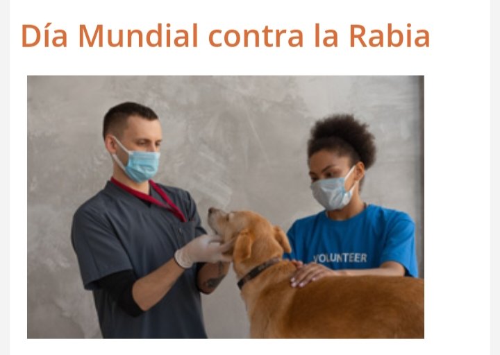 ProSaludCfg's tweet photo. Actualmente se estima, que el 99% de los casos de rabia humana el principal responsable ha sido un perro contagiado que la ha transmitido.Por esta razón se han propuesto como objetivo  en la Agenda 2030, erradicar esta enfermedad en perros y prevenir contagio y muerte en personas https://t.co/Oydr0Gw2tt