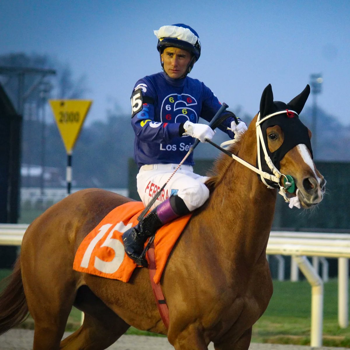 turf_uruguayo's tweet photo. #LaFirmante
Pareciera una tarea muy dura para sus rivales poder derrotarla sobre los 2000Mts(A) del GP Selección.
La pupila de F.Santesteban viene de 3 victorias contundentes y consecutivas, siendo la más reciente la Polla De Potrancas , donde venceria por 8cps a #RosaChoque . https://t.co/ZL8sgJno93