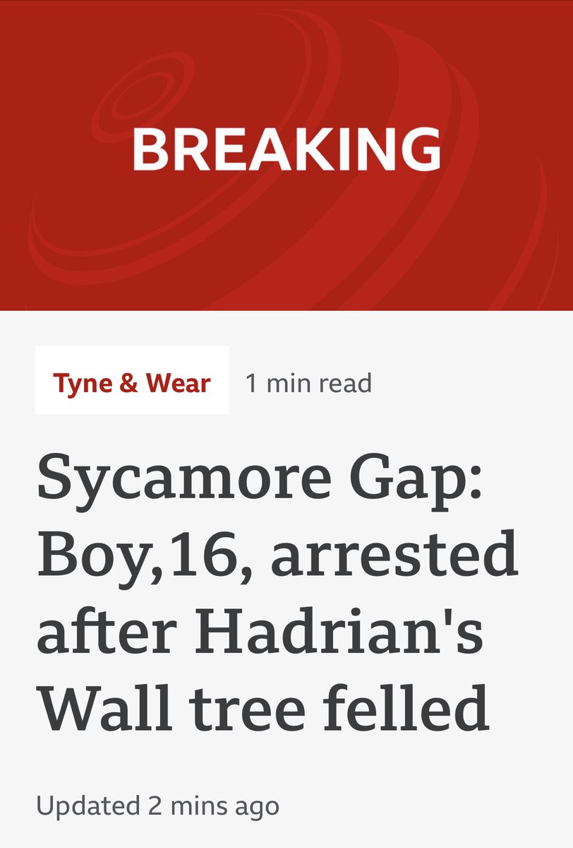 Little bastard. 

He’s lucky I’m not running the country. My first decree would be to have the fallen timber fashioned into a gallows and mounted on the very spot it stood, from which he’d be suspended for the crows.
#SycamoreGap