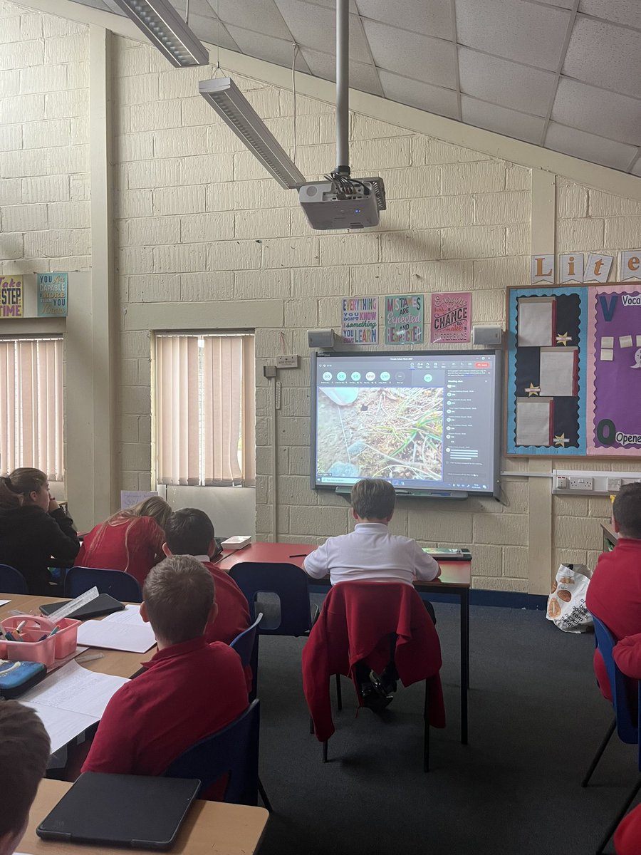MissSteele_HPS's tweet photo. On Tuesday we watched lesson 2 of #climateactionweek hosted by @KSBScotland . We learned all about natures engineers and practiced good note taking throughout the lesson ♻️🌱💚 @eco_HPS https://t.co/IVxEYPHzzS