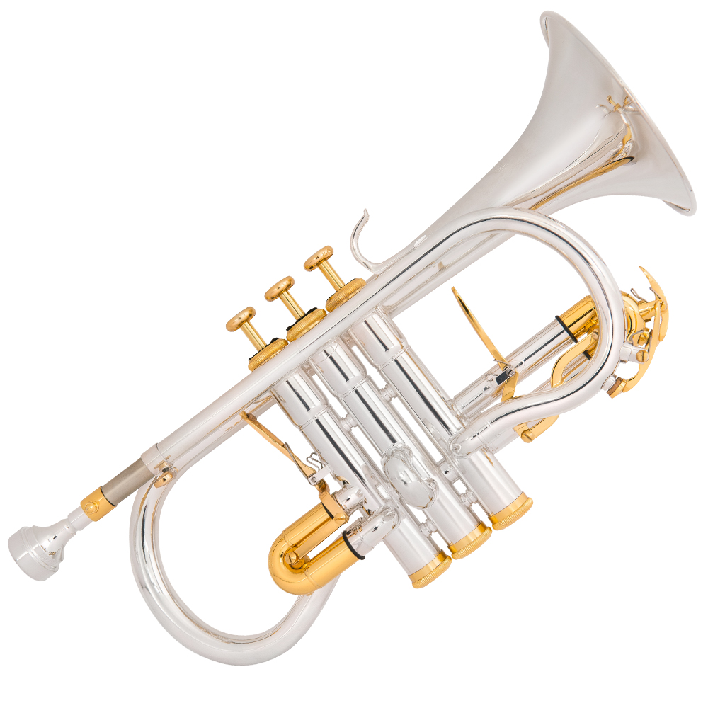 Learn To Play @MfACharity Have a FREE taster lesson with Odyssey Brasswind. Ever wanted to learn how to play the cornet, tenor horn or trombone..? Join us on 7th October at the Miners Welfare Hall, Garforth. musicforall.org.uk/learn-to-play