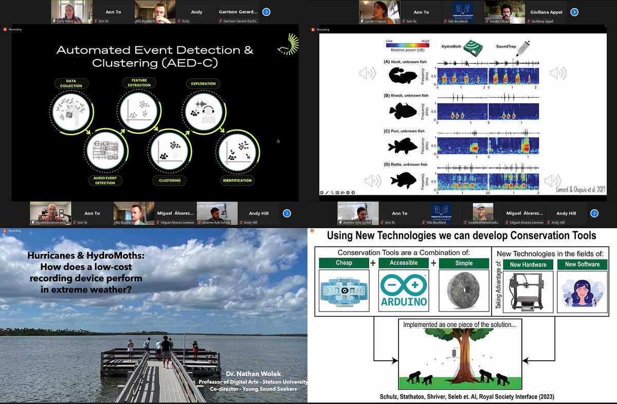 Ann "Sparrow" To tweet media