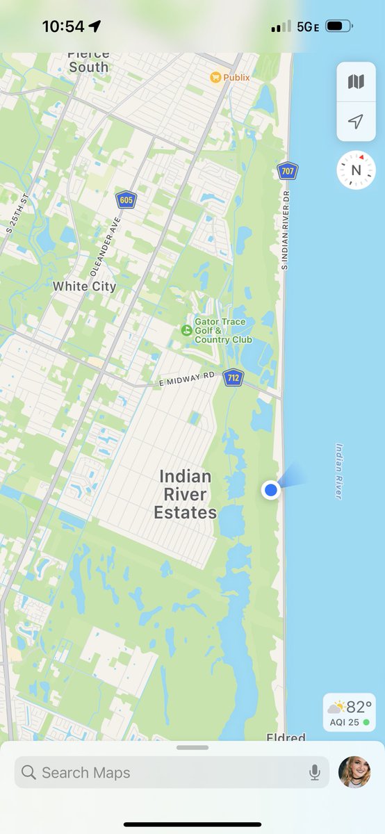 On the train behind this one and we’re currently trying to pick up the stranded passengers near Indian River Estates