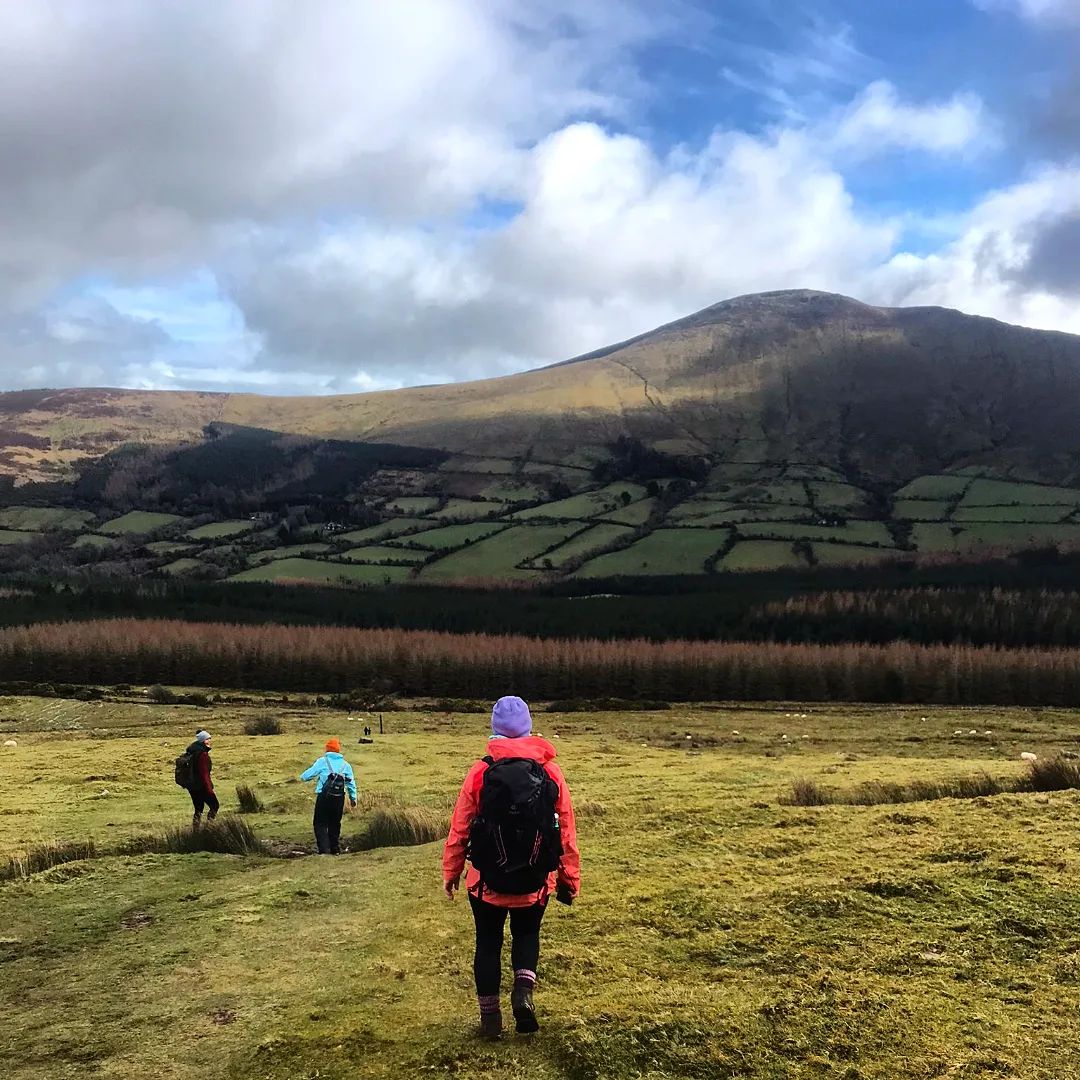 Ireland's Ancient East tweet media