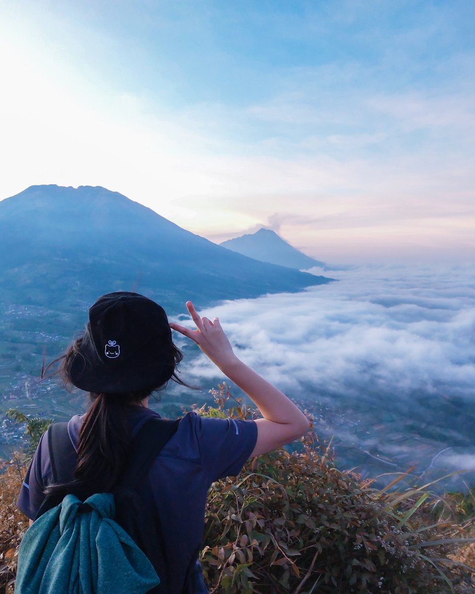 Smolnami tweet media